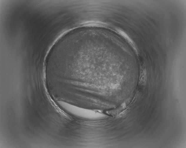 X0000082991376200702160012