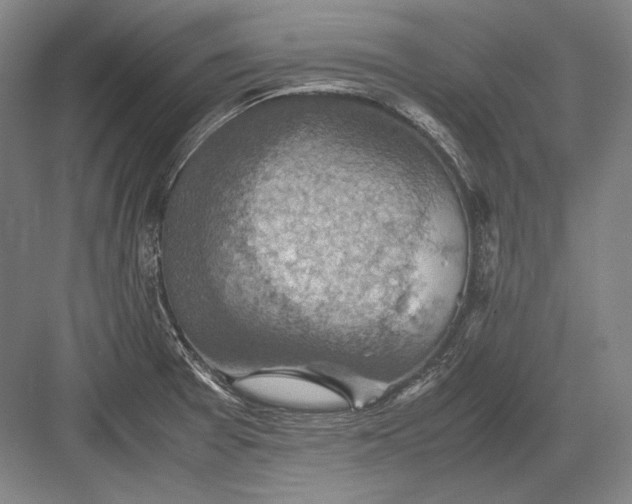 X0000082991377200702160012