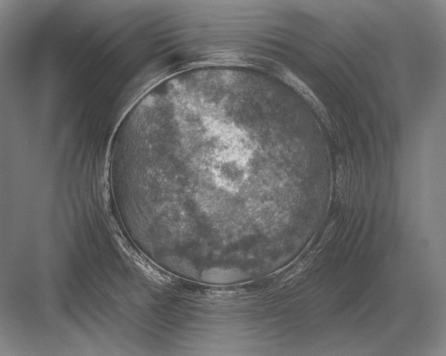 X0000082991378200702160012