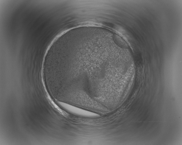 X0000082991379200702160012