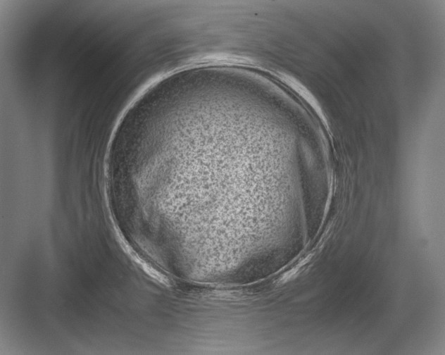 X0000082991381200702160012