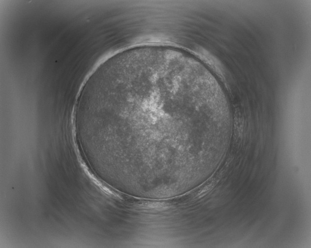 X0000082991382200702160012