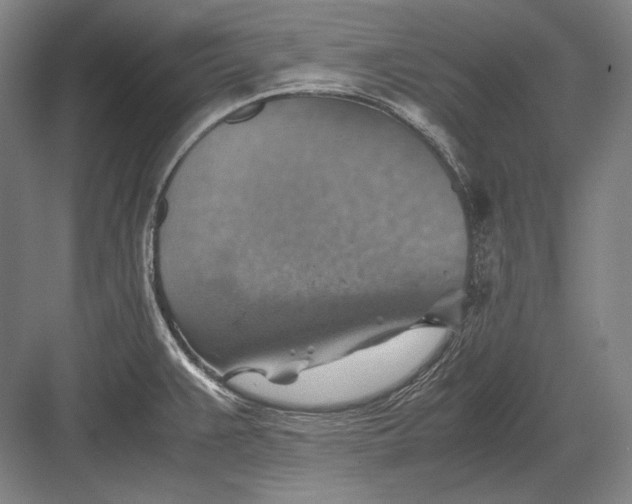 X0000082991383200702160012