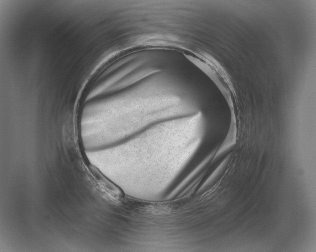 X0000082991384200702160012