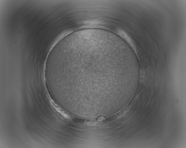 X0000082991386200702160012