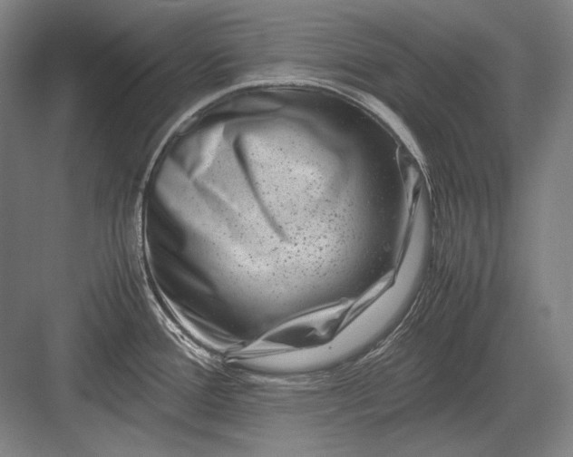 X0000082991388200702160012