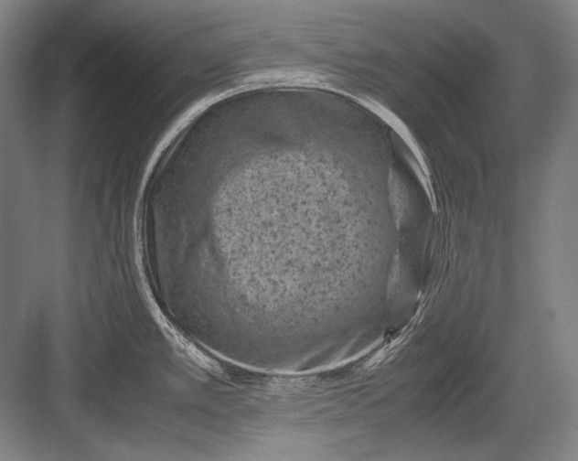 X0000082991389200702160012