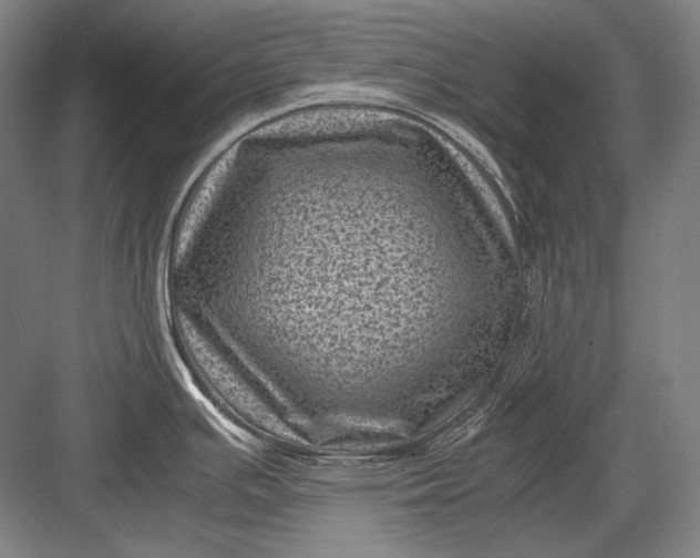 X0000082991391200702160012