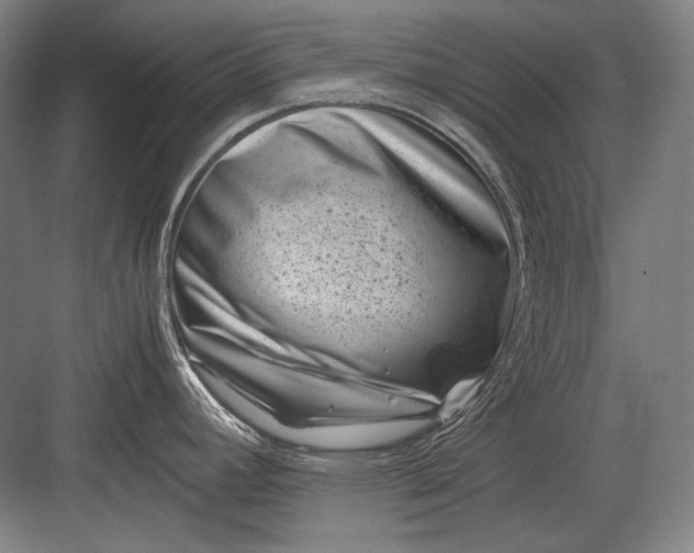 X0000082991392200702160012