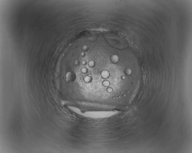 X0000082991393200702160011