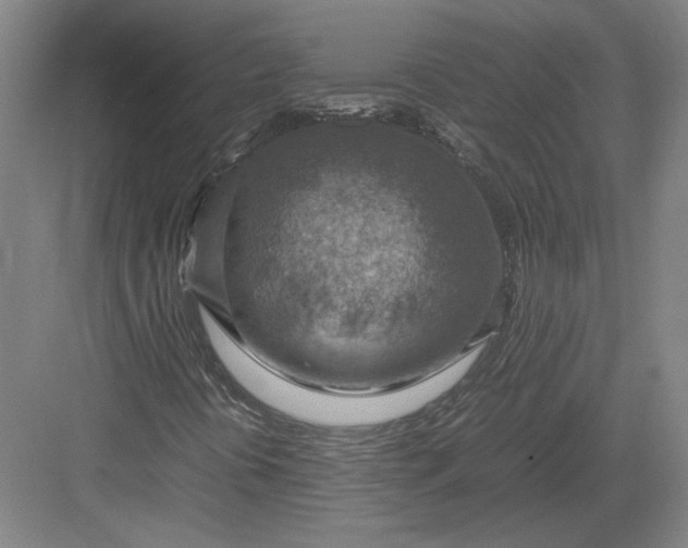 X0000082991394200702160011