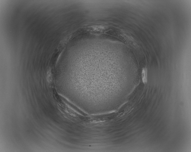 X0000082991395200702160011