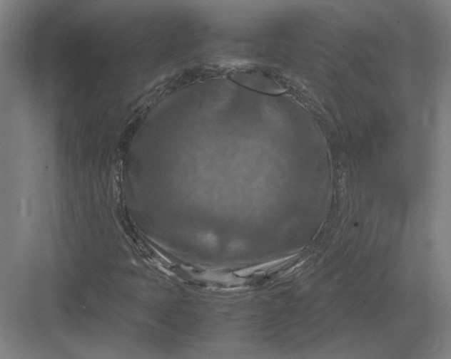 X0000082991397200702160011