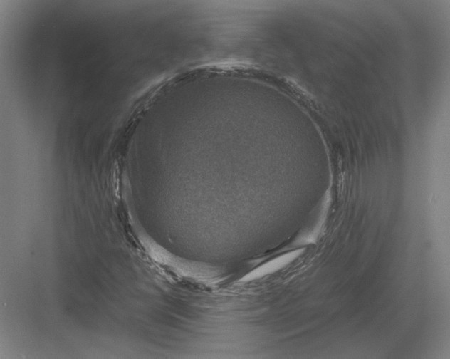 X0000082991398200702160011