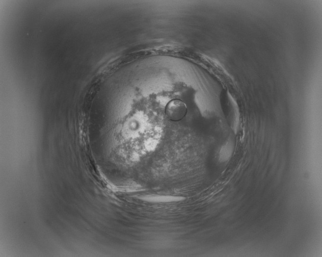 X0000082991399200702160011