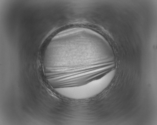 X0000082991400200702160011