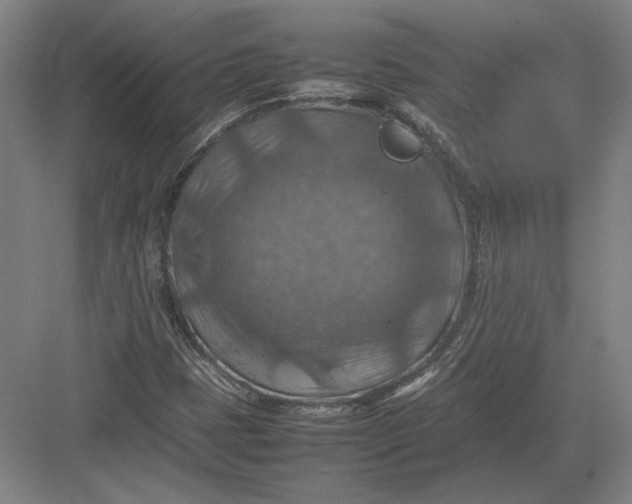 X0000082991401200702160011