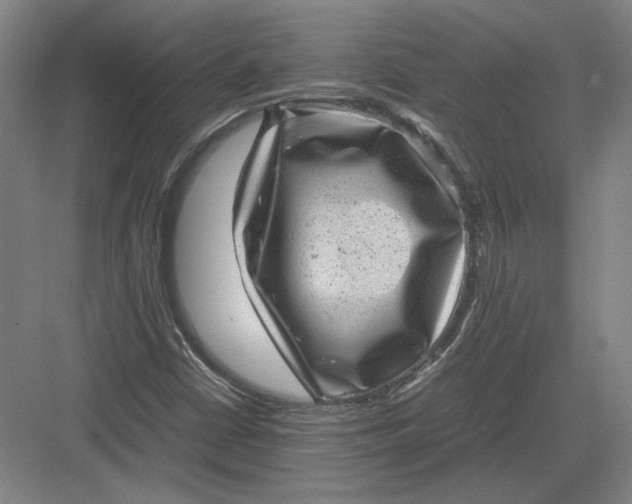 X0000082991402200702160011