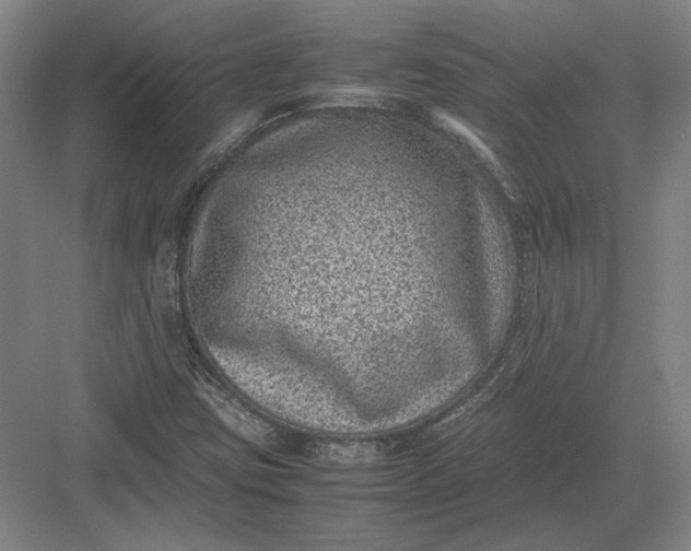 X0000082991403200702160011