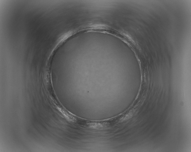 X0000082991405200702160011