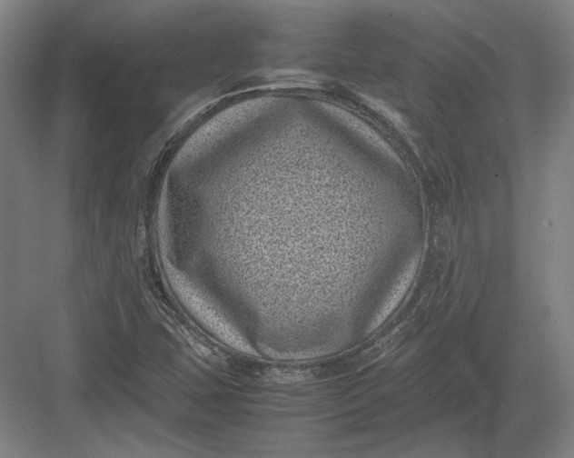 X0000082991407200702160011