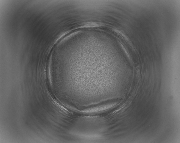 X0000082991409200702160012