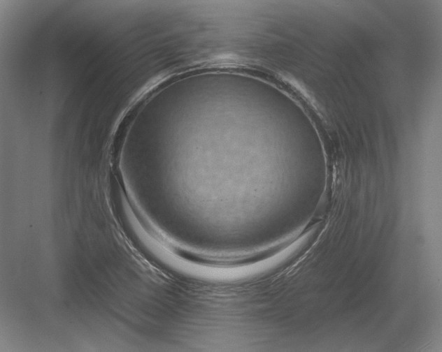 X0000082991410200702160012