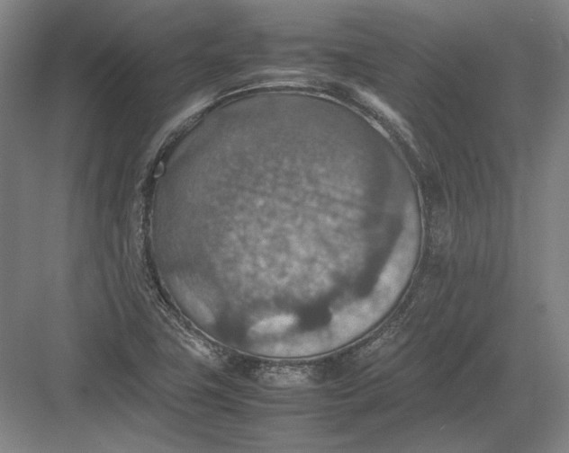 X0000082991411200702160012