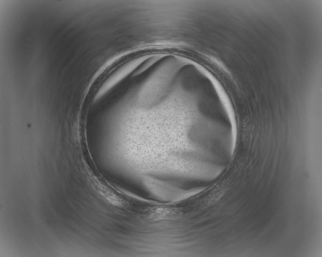 X0000082991412200702160012