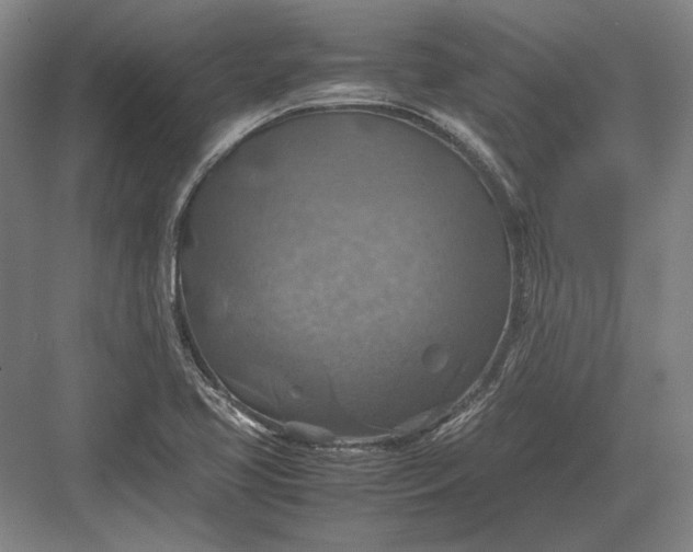 X0000082991413200702160012