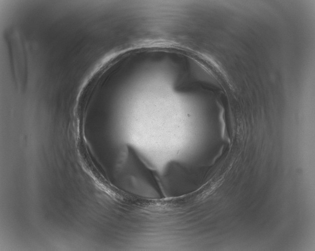 X0000082991414200702160012