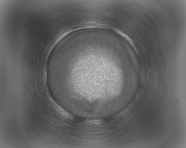 X0000082991415200702160012