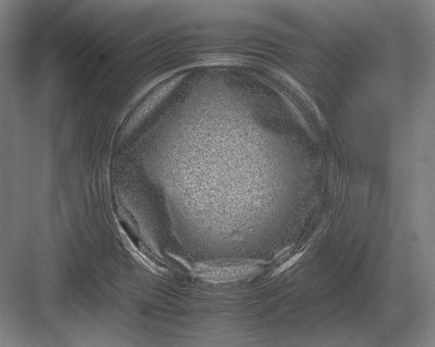 X0000082991417200702160012