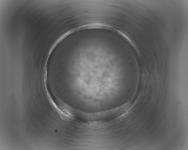 X0000082991418200702160012