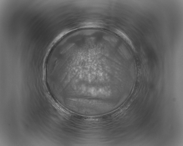 X0000082991419200702160012