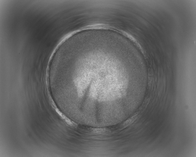 X0000082991421200702160012