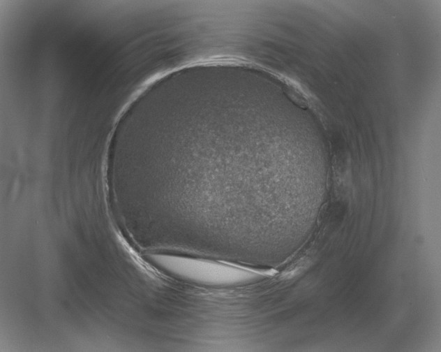 X0000082991422200702160012