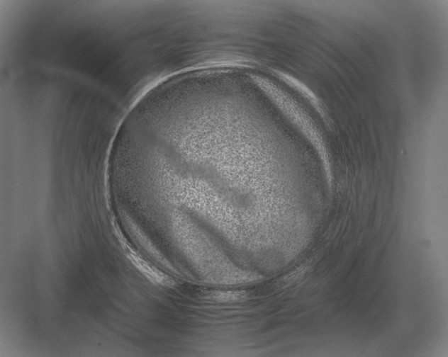 X0000082991423200702160012