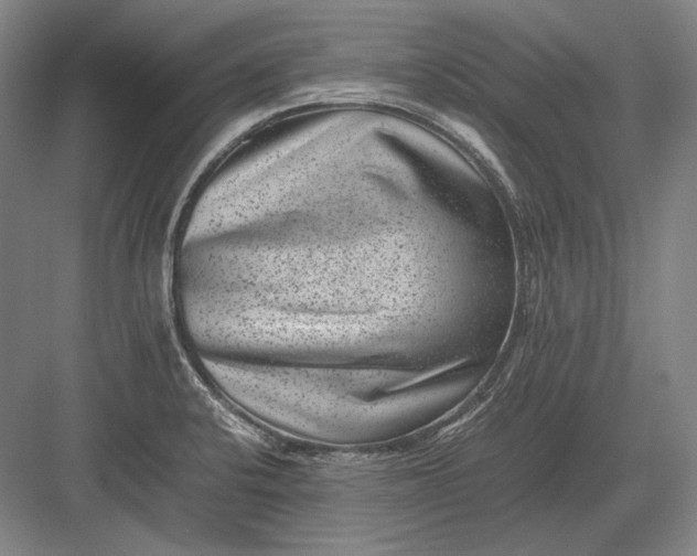 X0000082991424200702160012