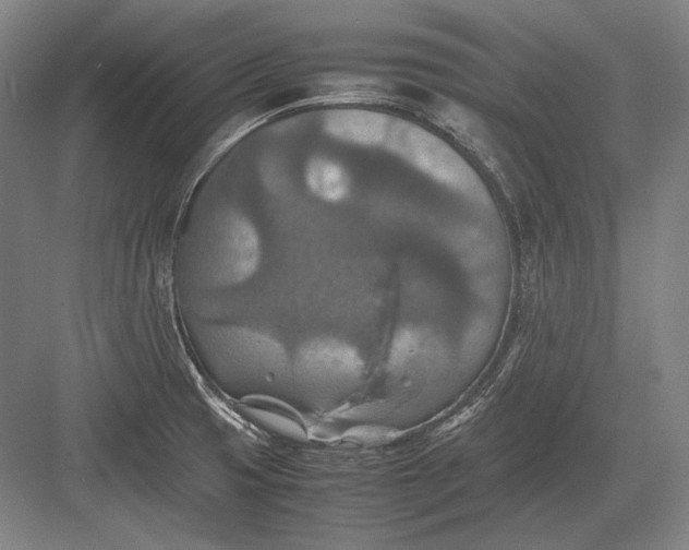 X0000082991425200702160012