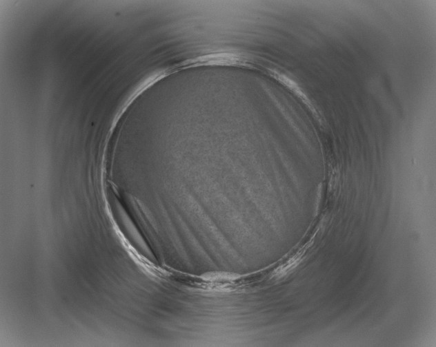 X0000082991426200702160012