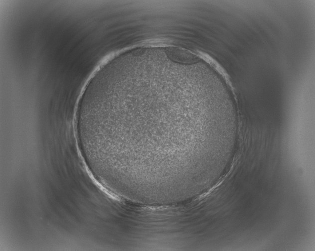 X0000082991429200702160012