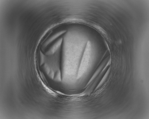 X0000082991430200702160012