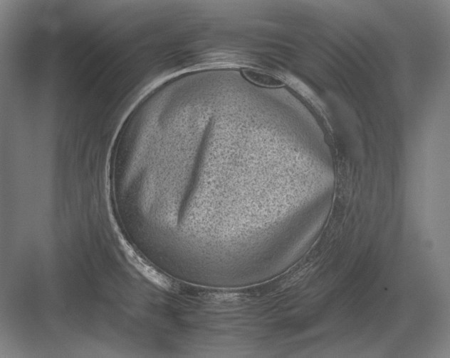 X0000082991431200702160012