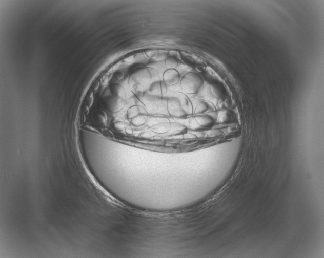 X0000082991432200702160012