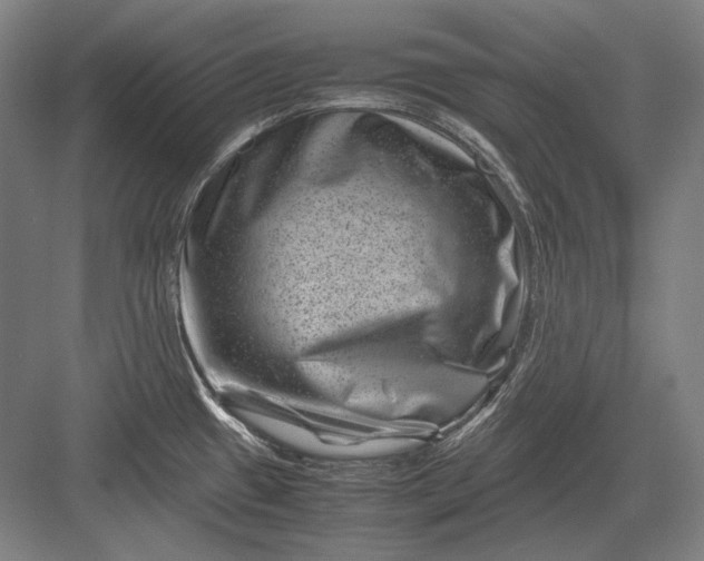 X0000082991433200702160012