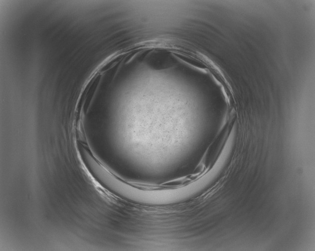 X0000082991434200702160012