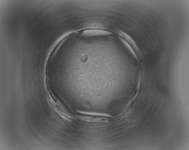 X0000082991435200702160012