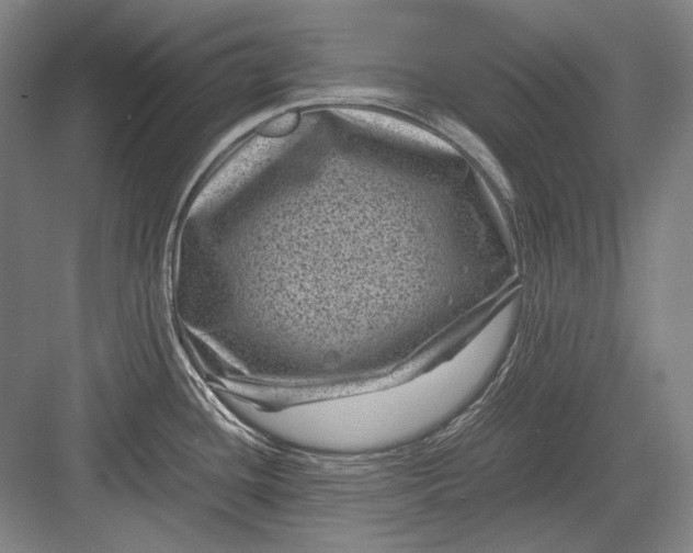 X0000082991436200702160012