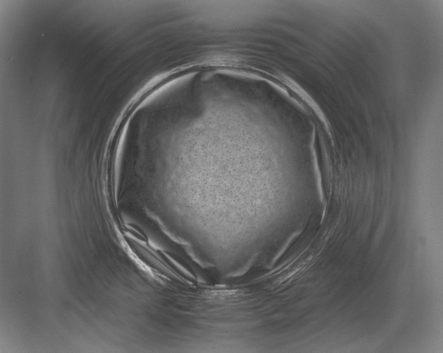 X0000082991437200702160012